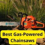 9 Best Gas-Powered Chainsaws of 2025 [Reviews]