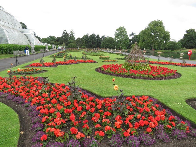 Flower beds with red flowers in a large public garden