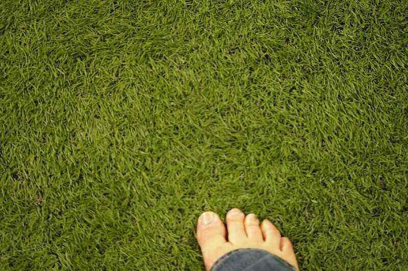 barefoot on turf grass
