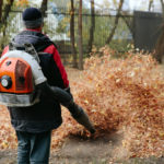 10 Best Gas Leaf Blowers of 2022 [Reviews]