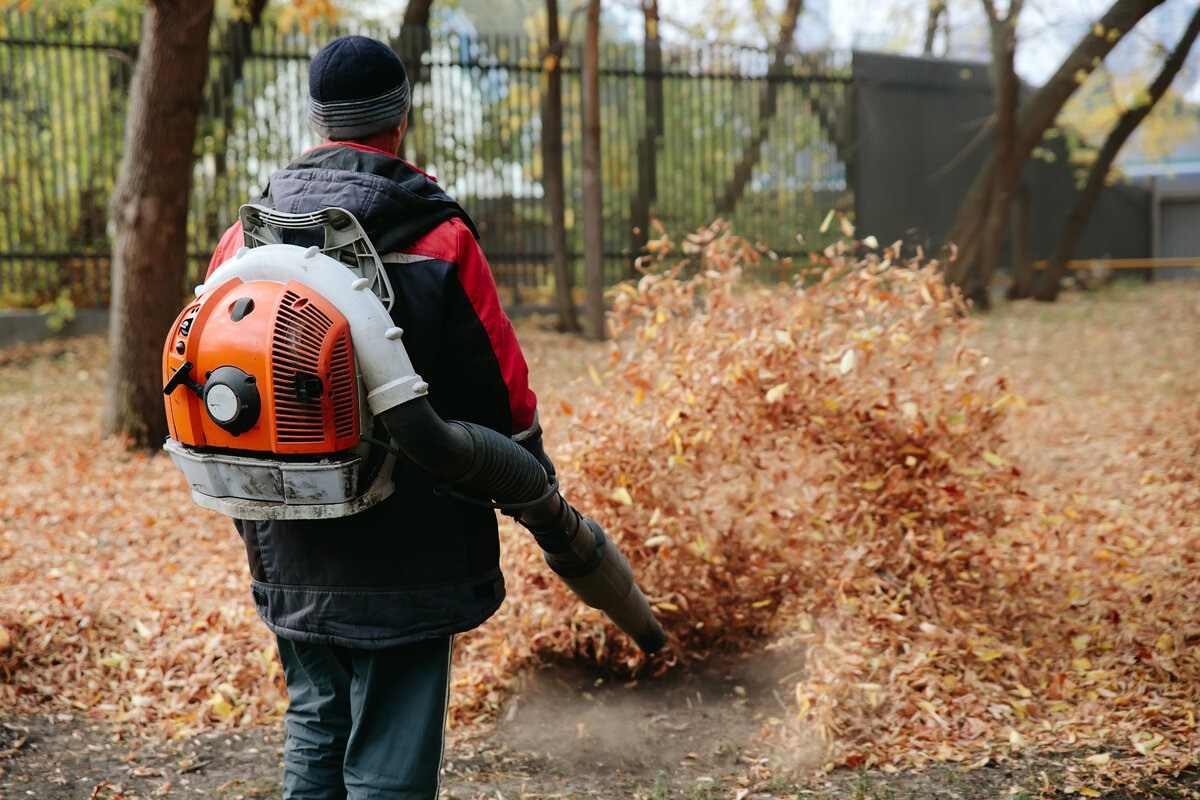 Worker using a gas leaf blower to blow leaves