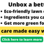7 Best Gas String Trimmers of 2023 [Reviews]
