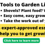 Pricing Guide: How Much Does Hedge Trimming Cost?