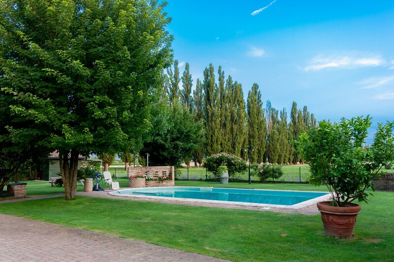 Outdoor, in-ground pool with landscaping around it