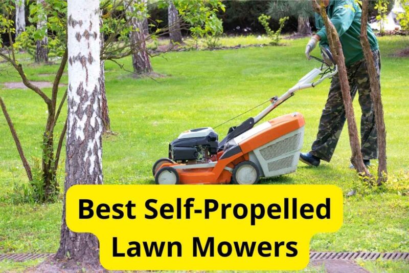 Best self propelled lawn mowers