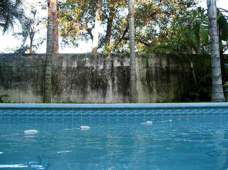 Looking across a pool and there is a tall wall with trees on the other side