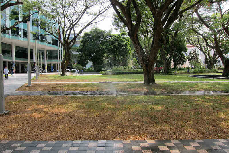 SMU Campus lawn with dead, brown grass