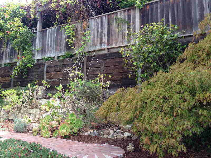 landscaping near a brick walkway