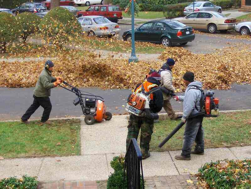 Group of gardeners cleaning up leaves from a property and the street