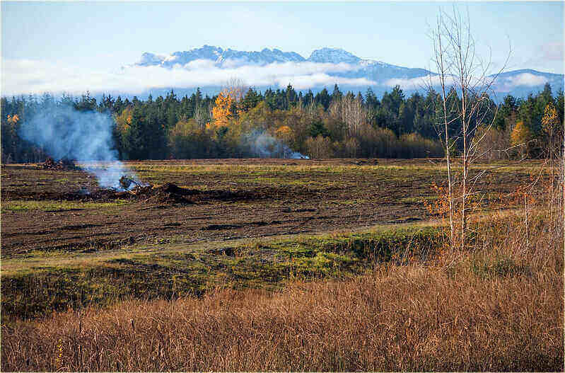 Land being cleared by burning the brush