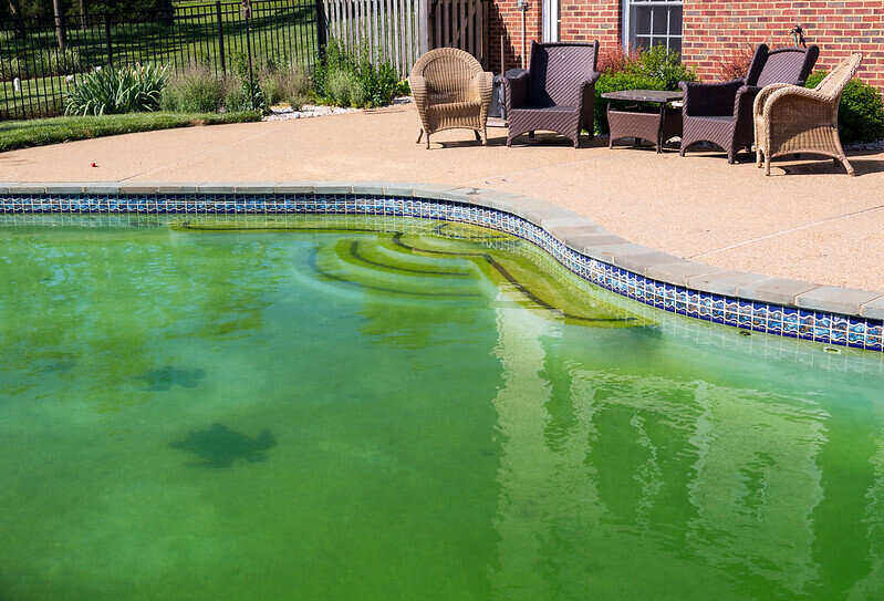 green pool with shadows of sea turtles in the bottom of the pool