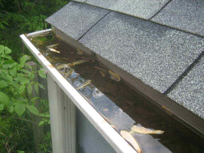 Clogged gutter that are full of water and not draining