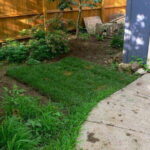 Pricing Guide: How Much Does Sod Cost?