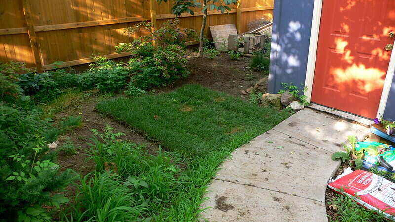 Patch of sod around a small curve of sidewalk