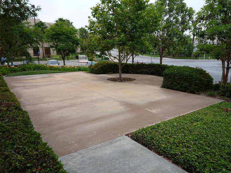 Outdoor concrete patio with a tree cutout in the edge of it