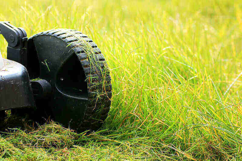 close-up of the wheel of a lawnmower that just cut a strip of tall grass