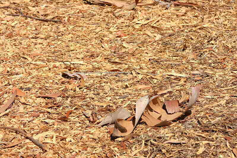 Mulch scattered in a large area