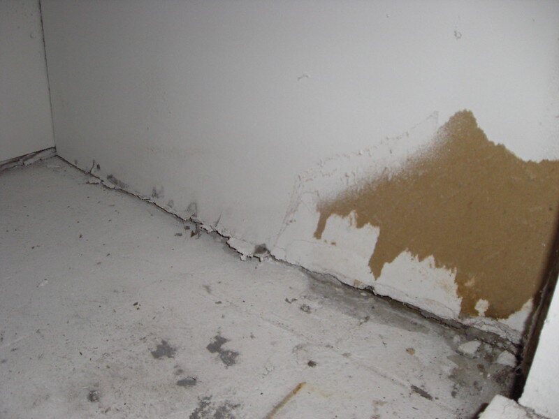 Floor and wall with black mold in the cracks