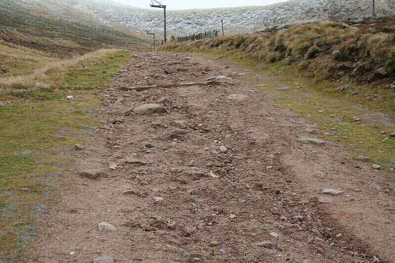 Footpath erosion in an open clearing