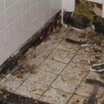 Pricing Guide: How Much Does Mold Remediation Cost?