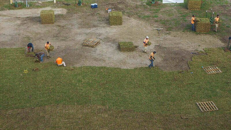 workers laying out sod squares on a large area of land