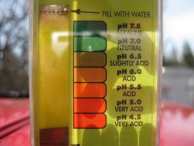 picture of a soil test