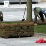 How Much Does Sod Cost to Install in 2024?