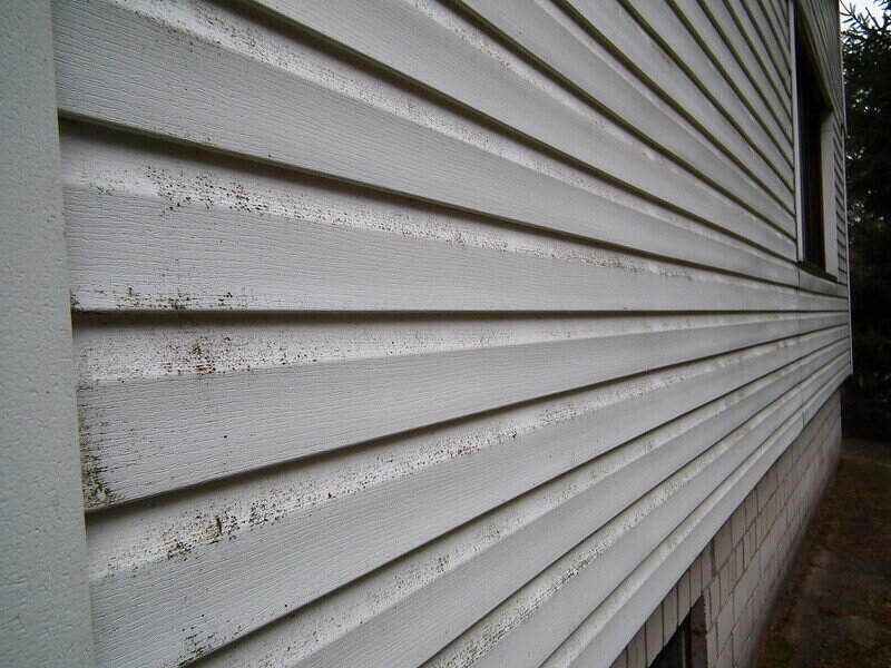 Close-up of dirty Dutch vinyl siding on a house