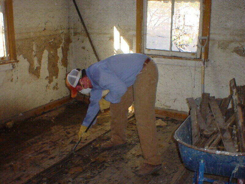 Man taking up old floor boards in a house that has mold