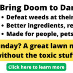 Pricing Guide: How Much Does Sod Cost?