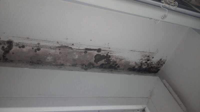 Upper area of a window has black mold