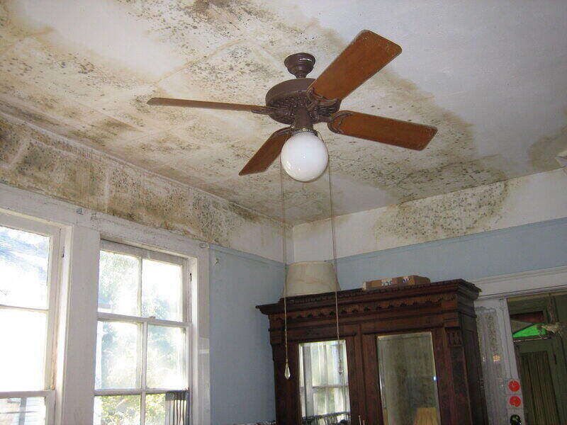 Mold along the ceiling of a home