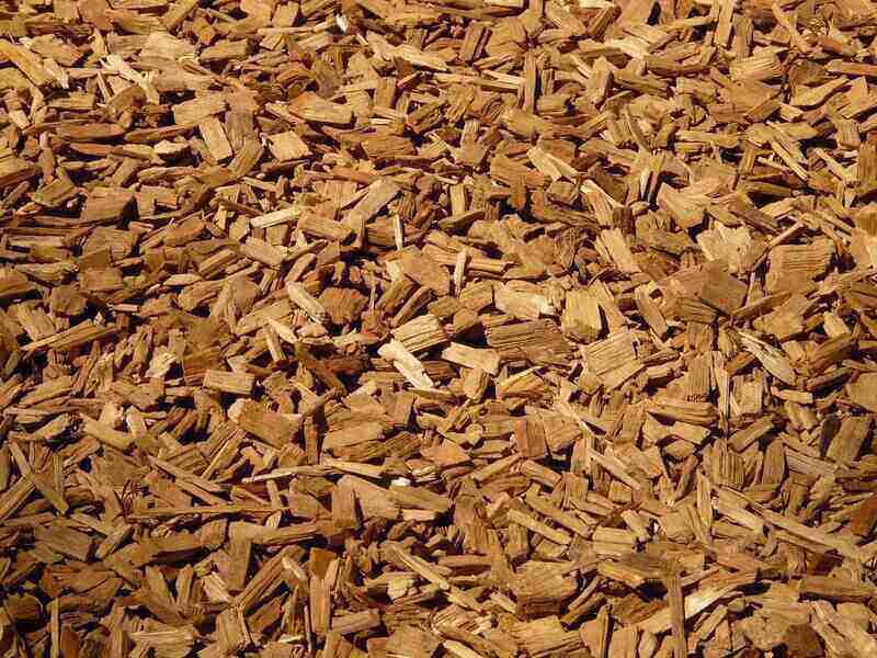 Close-up of wood chips in a pile