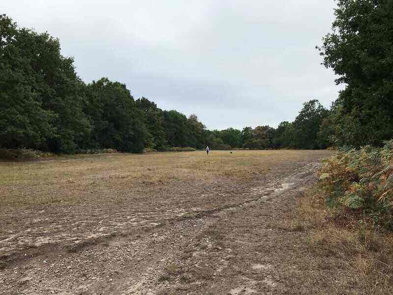 Person standing in the distance, in the middle of a cleared out area of land