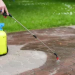 Vinegar as a Weed Killer: You’re Probably Doing It Wrong