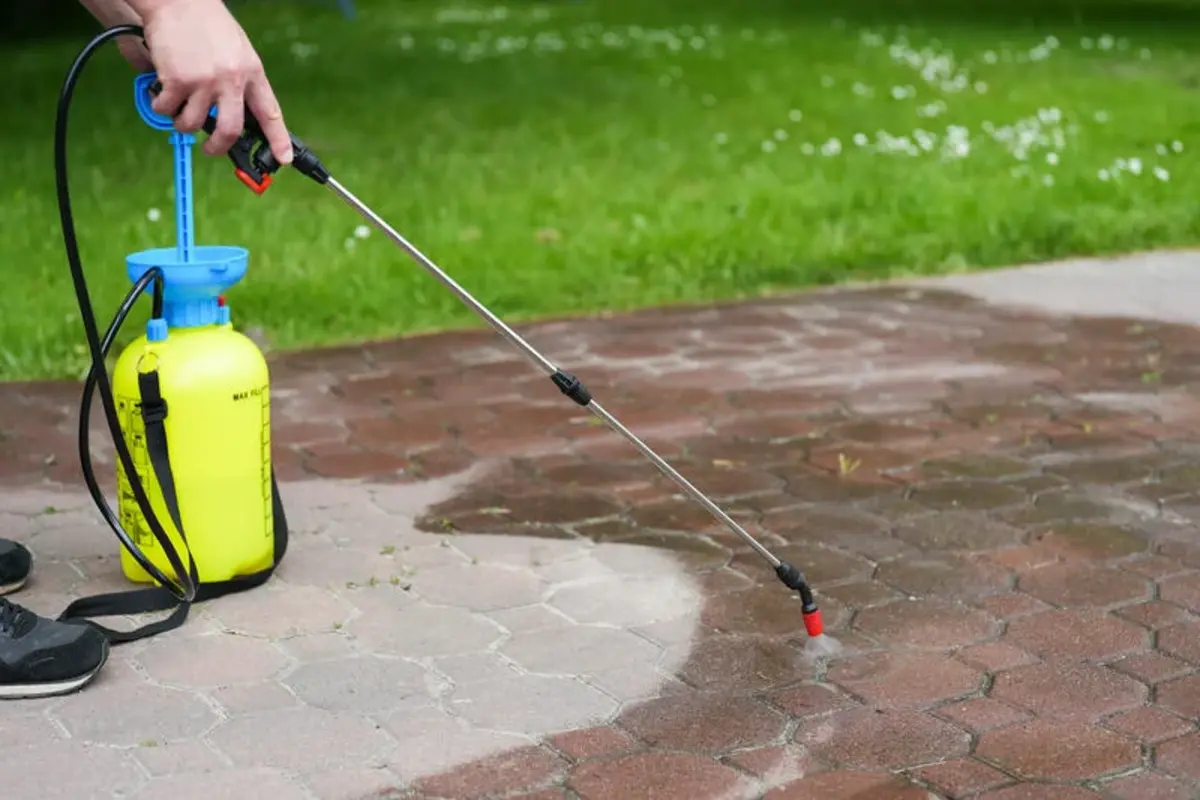 Spraying organic, environmentally-friendly spirit vinegar onto the natural stone pavement (driveway, parking lot) to remove weeds and moss in an eco-friendly manner. Close-up on the hand and the ...