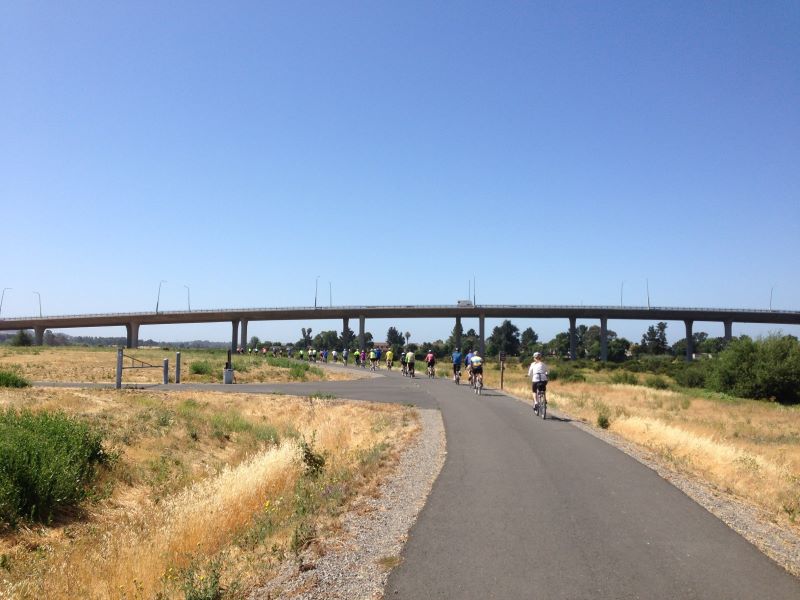 A long line of cyclists cross under a bridge through the Napa Valley Vine Trail