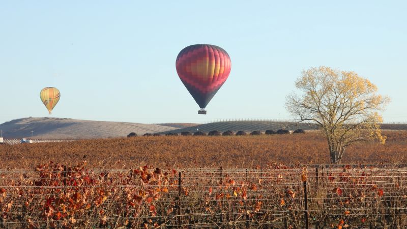 Two hot-air balloons float over Sonoma County vineyards with fall colors