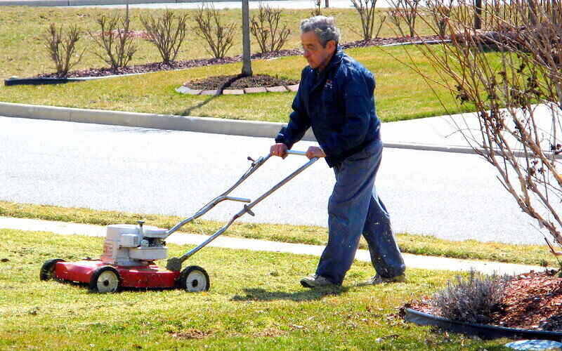 Man using a verticutter on his lawn