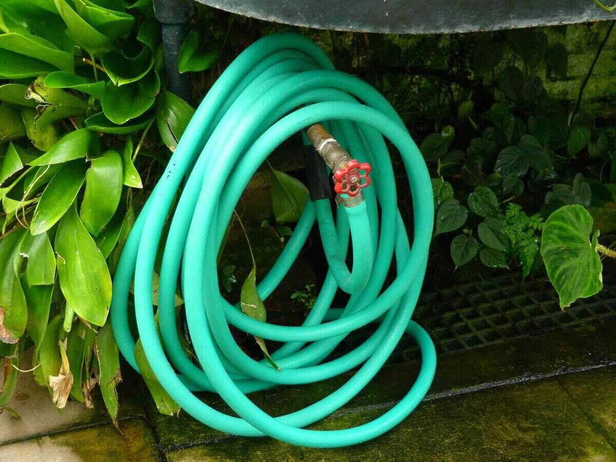 Garden hose hung up next to plants