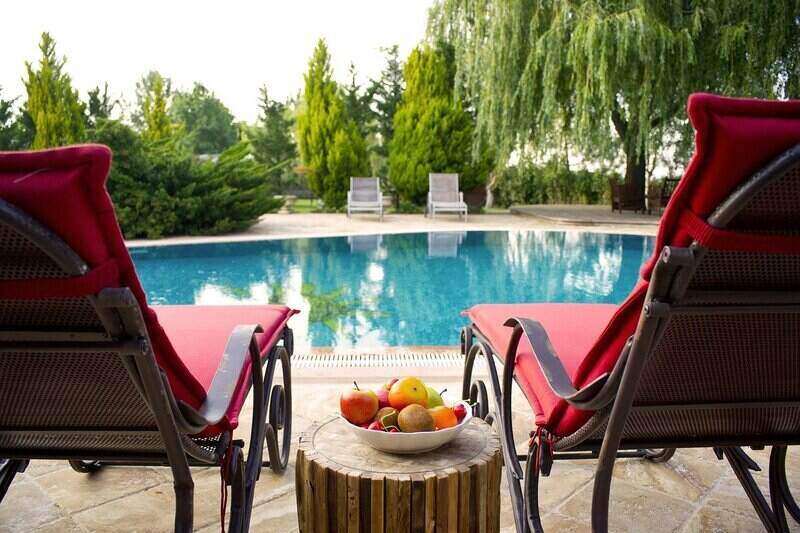 in-ground pool with lounge chairs in the foreground and decorative trees and landscaping in the background