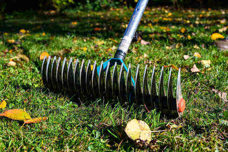 Close-up of a rake used for dethatching a lawn