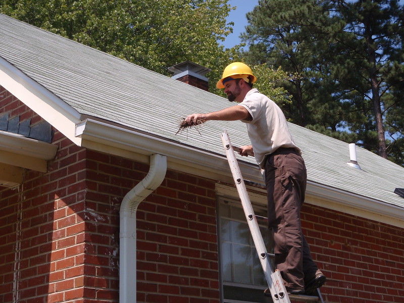 man on ladder cleaning pinestraw out of gutters
