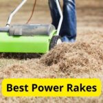 8 Best Power Rakes of 2024 [Reviews]