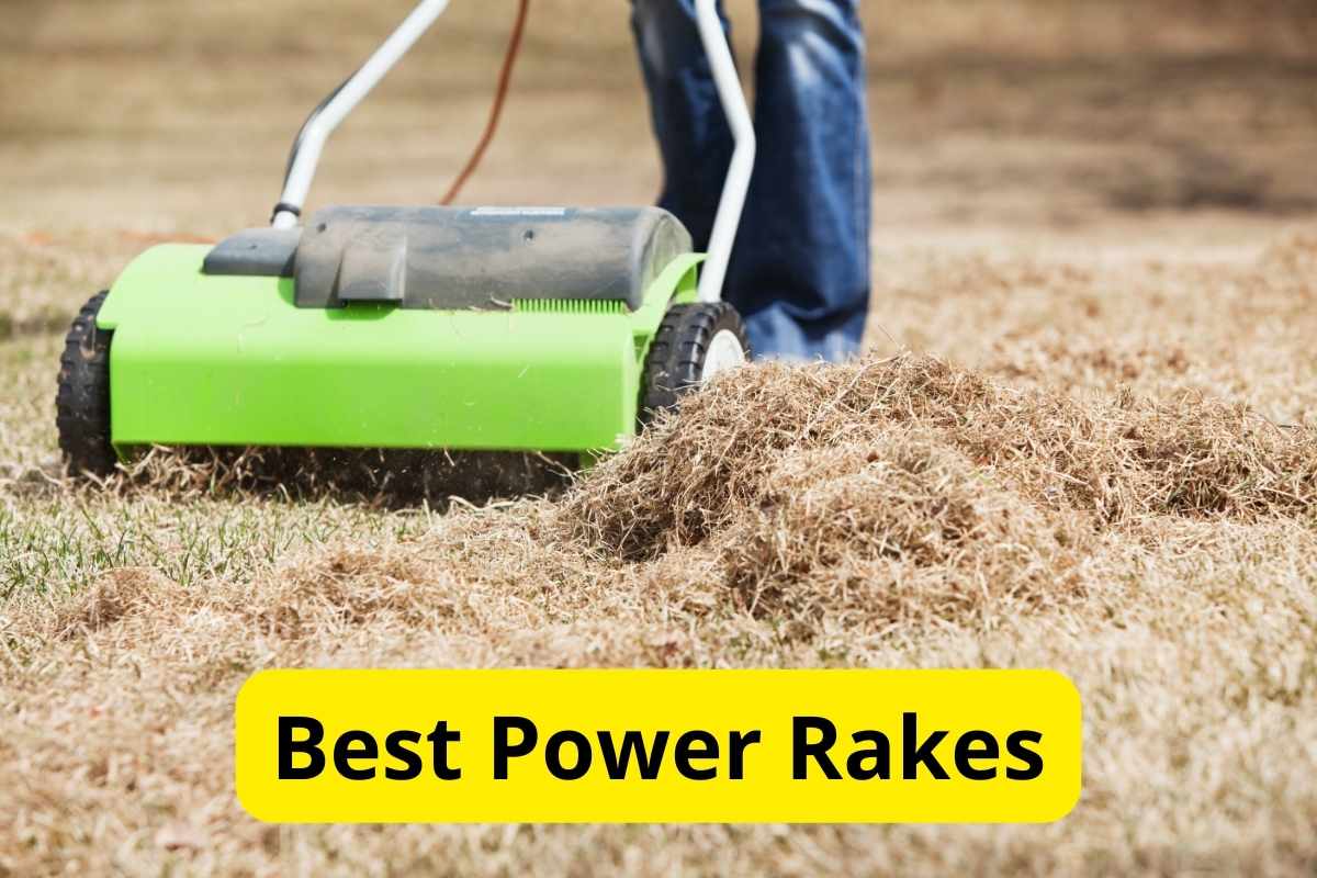 power rake dethatching grass