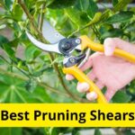10 Best Pruning Shears of 2024 [Reviews]