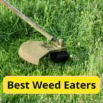 10 Best Weed Eaters of 2025 [Reviews]