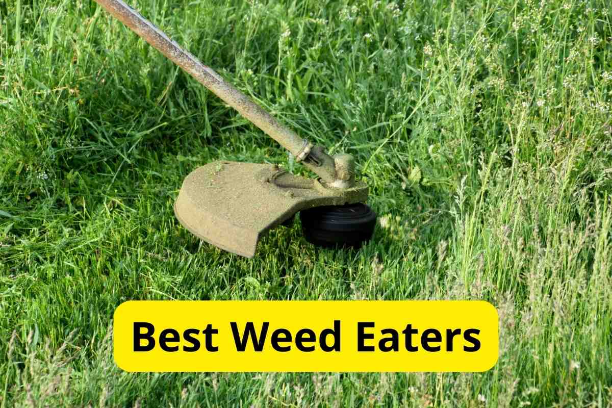 mowing green grass with a trimmer with text overlay on it