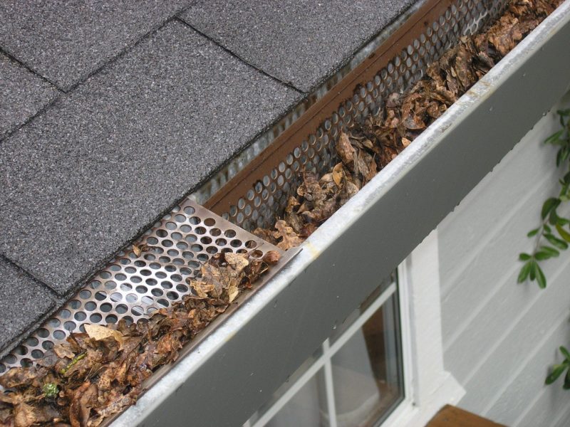 closeup of gutter filled with leaves