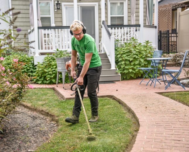 Young man edging lawn